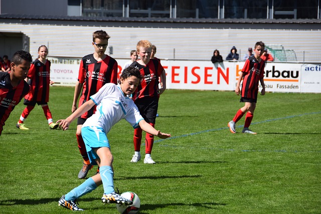 種多曲徑的 種多曲徑的