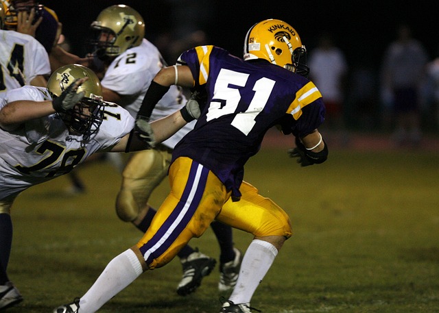 在英超賽場 在英超賽場