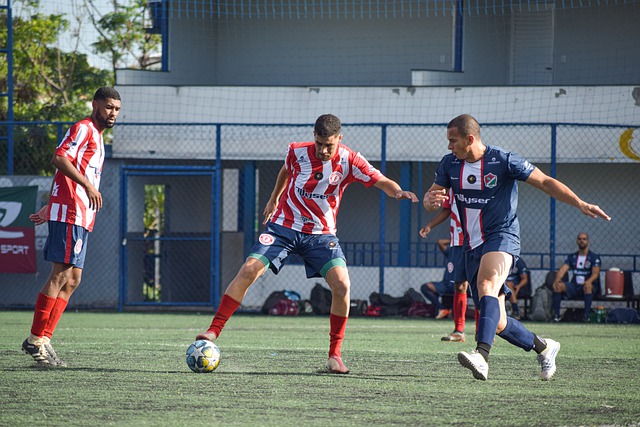 入了一股新 入了一股新