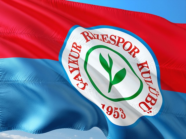 的进球机会 的进球机会