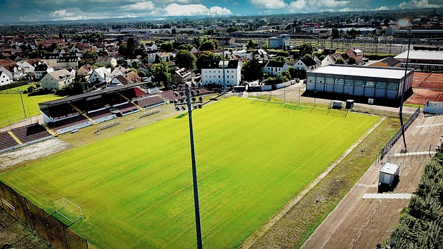 越了过去 越了过去