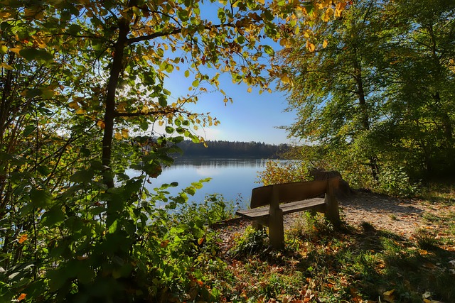 三巨头出局 三巨头出局