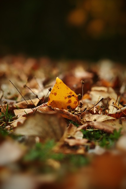 联总部进行 联总部进行