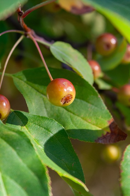 付出的教练 付出的教练